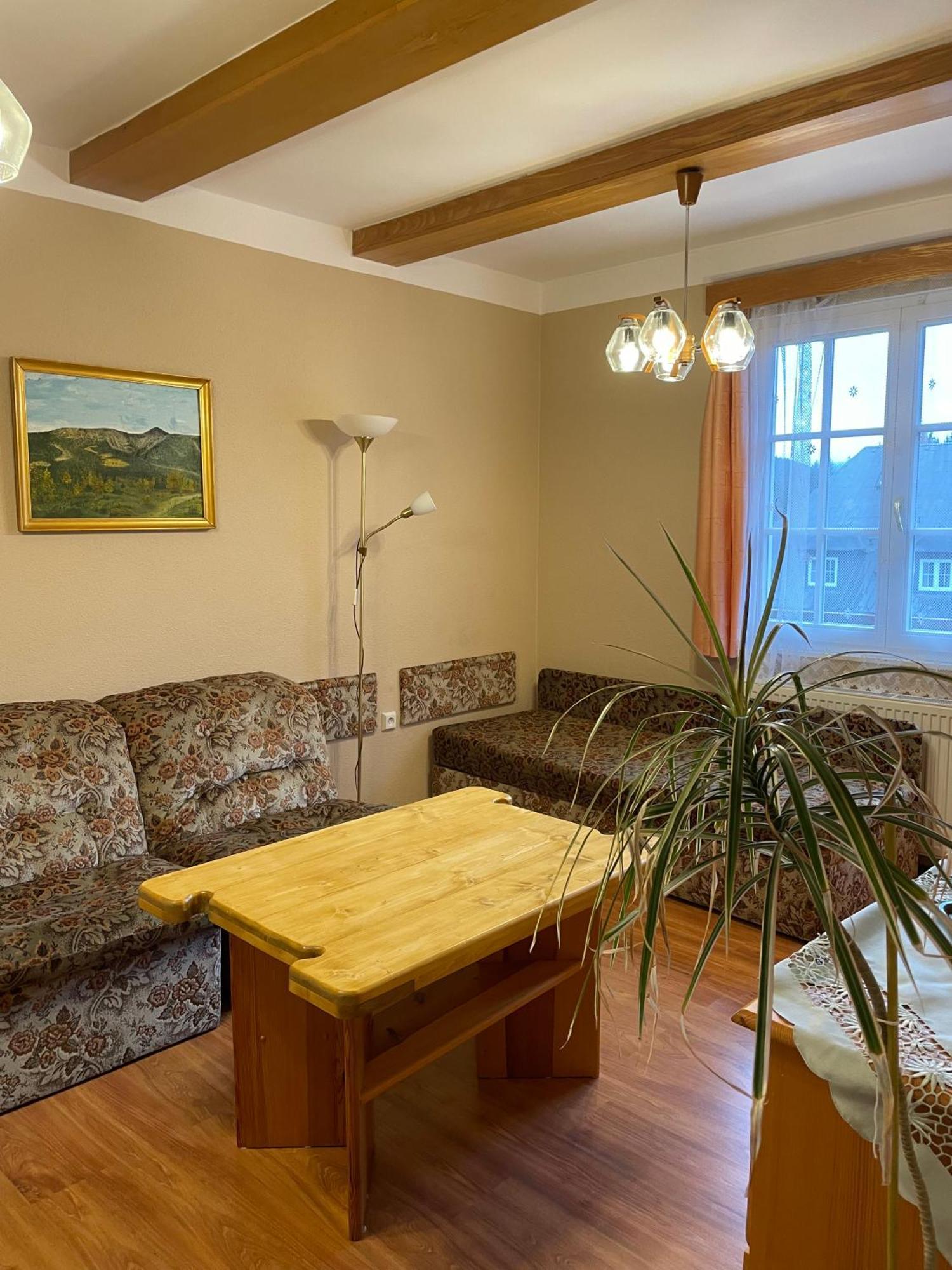 Pension Svycarsky Dum Spindleruv Mlyn Exterior photo